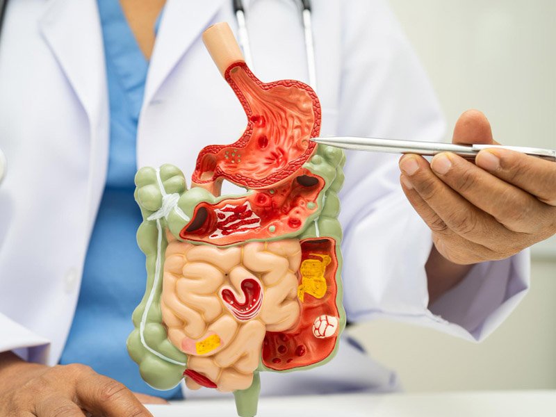 Cirurgia Geral no grande ABC/ Aparelho Digestivo